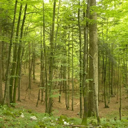 Kuca Za Odmor Zora By Guide Villa *