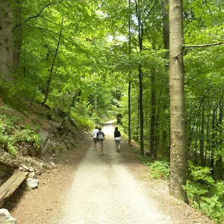 Kuca Za Odmor Zora By Guide Villa Brod Moravice