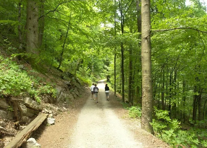 Kuca Za Odmor Zora By Guide Villa Brod Moravice